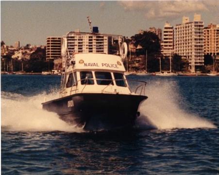 0801SHARKCATINFLIGHT