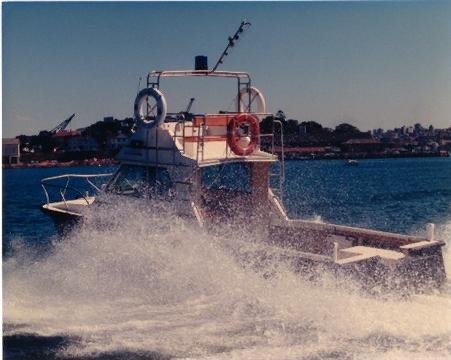 0801SHARKCATONPATROL