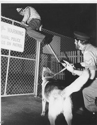 HMASALBATROSDOGPATROL